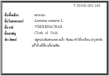 กล่องข้อความ: 7-50100-001-145 ชื่อพื้นเมือง : ผกากรอง ชื่อวิทยาศาสตร์ : Lantana camara L. ชื่อวงศ์ : VERBENACEAE ชื่อสามัญ : Cloth of Gold ประโยชน์ : ปลูกประดับสวนกลางแจ้ง ขับลม ทำให้อาเจียน บำรุงกำลัง แก้ไข้ แก้หืด แก้ปวดฟัน